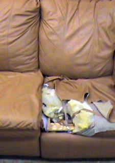 Leather Repair Restoration On Site Universal Upholstering Before Beige Leather Couch Reupholstering Reupholster This Side Of A Sectional